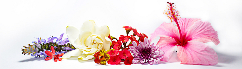 Die Schönheit der Flexiblität