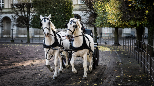 Hochzeit, Empfang und Rahmenprogramm einfach online planen und kalkulieren
